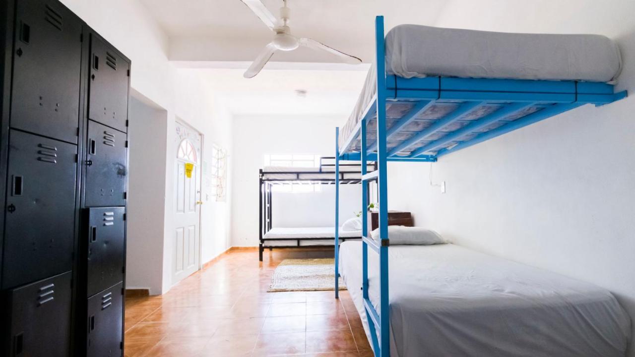 Weary Traveler Hostel Тулум Стая снимка