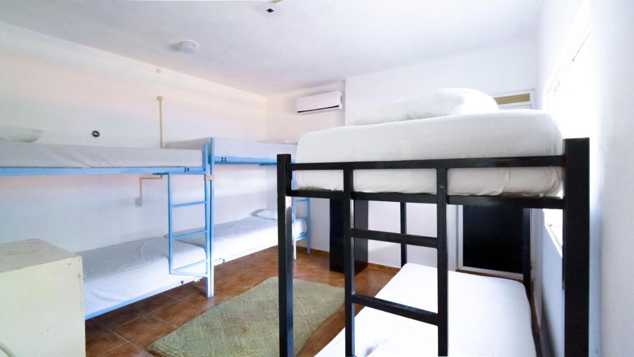 Weary Traveler Hostel Тулум Стая снимка