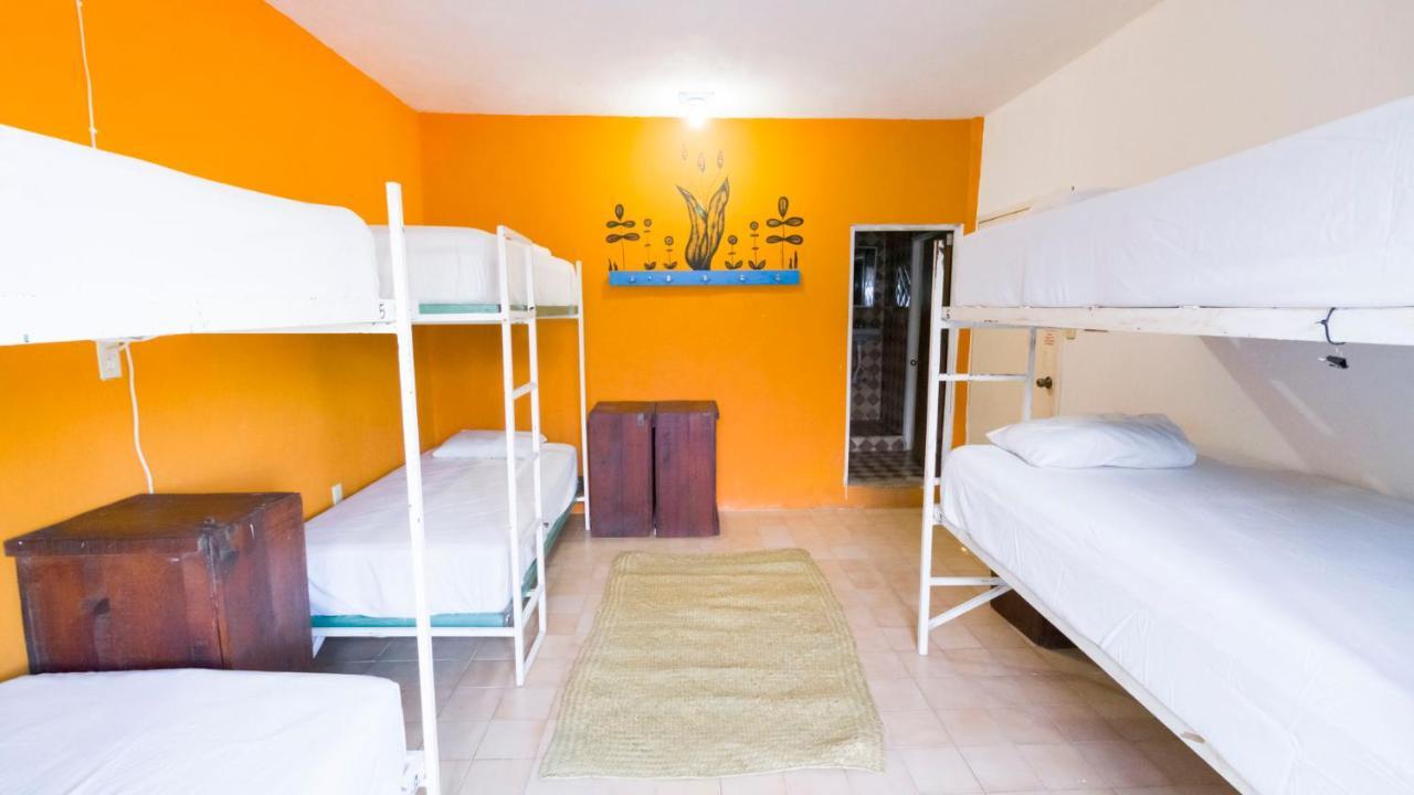 Weary Traveler Hostel Тулум Стая снимка